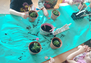 Dzieci sadzące rośliny w doniczkach