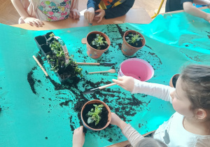 Dzieci sadzące rośliny w doniczkach