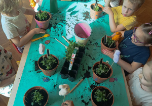 Dzieci sadzące rośliny w doniczkach