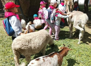 Wycieczka do Zoo w Borysewie