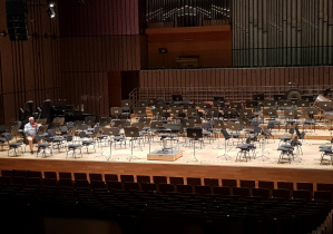 zdjęcie sceny w Filharmonii Łódzkiej (siedzenia, miejsca dla muzyków )
