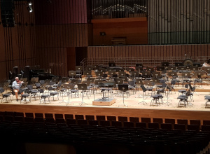 Wyjście Grupy Czerwonej do Filharmonii