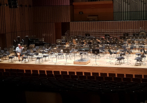 Scena w Filharmonii i muzycy